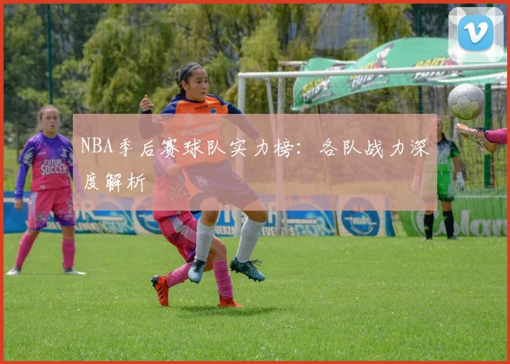NBA季后赛球队实力榜：各队战力深度解析